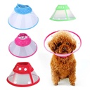 Collar isabelino botón M