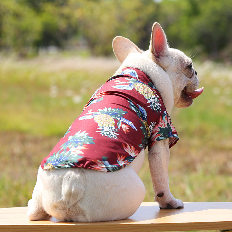 Ropa camisa con diseños