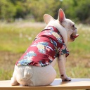 Camisa Tropical Paw