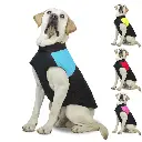 Campera Impermeable para Perro
