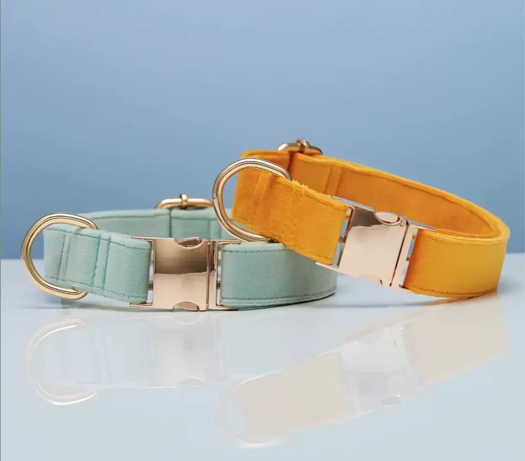 Collar Aterciopelado Premium para Perros (S, Verde menta)