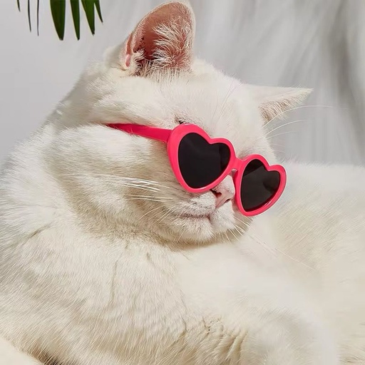 Lentes Gato corazón