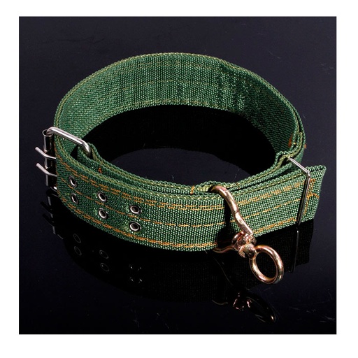 Collar doble ojalillo VERDE 70*5cms