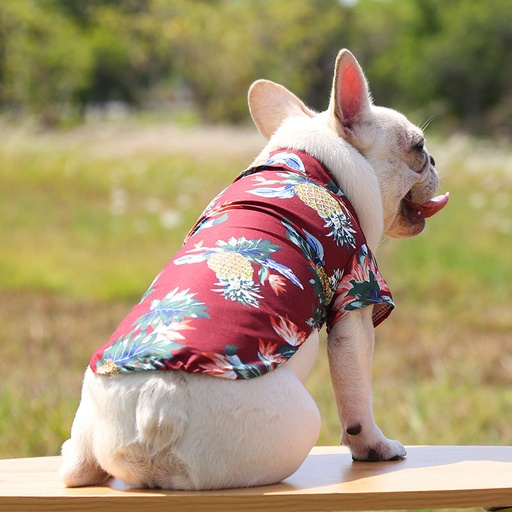 Ropa camisa con diseños
