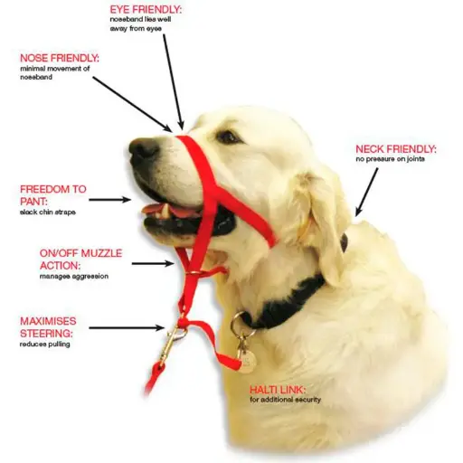 Dogal/Bozal Educativo para perros